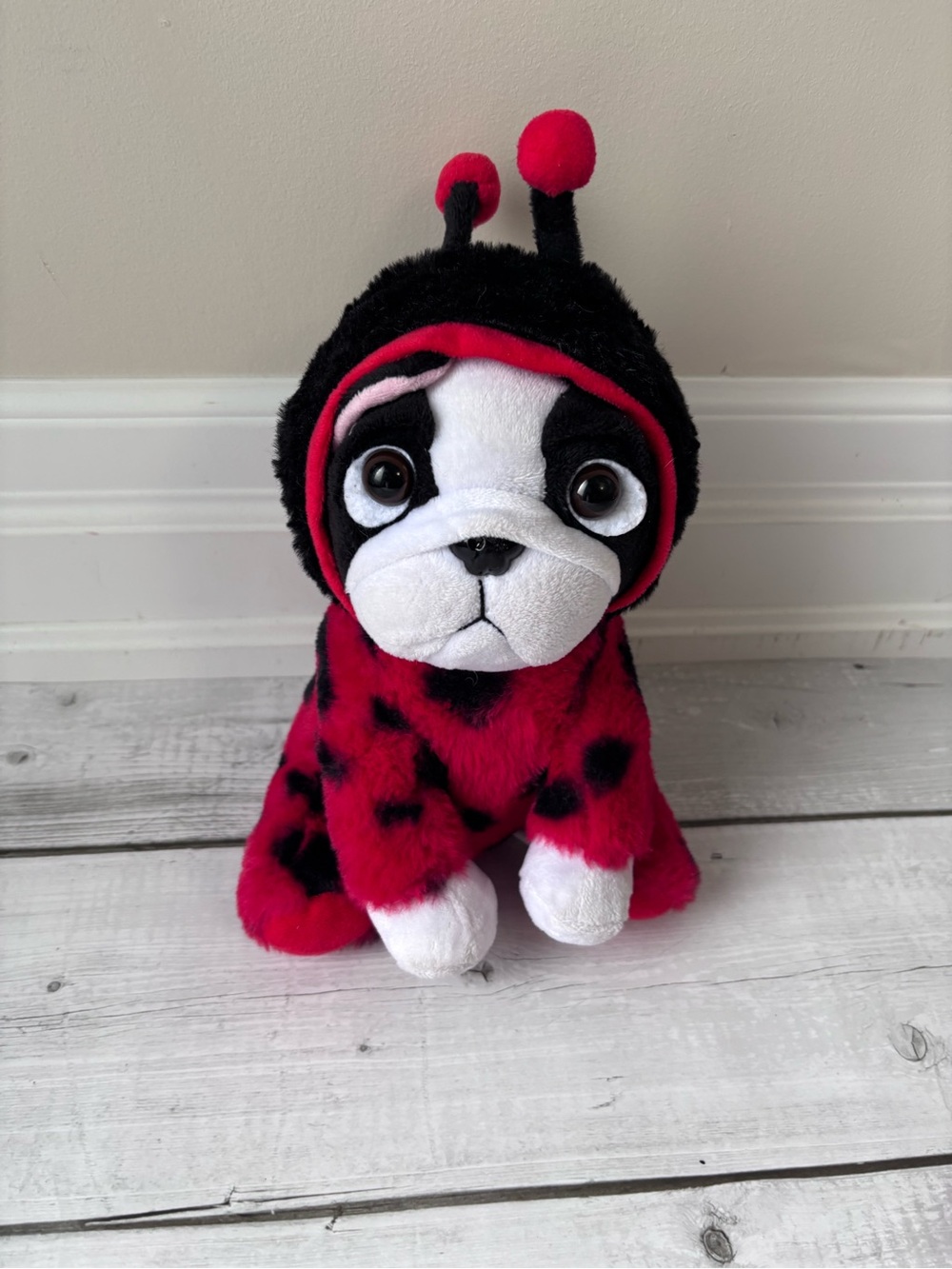 Plush Puppy in Red and Black Ladybug Costume